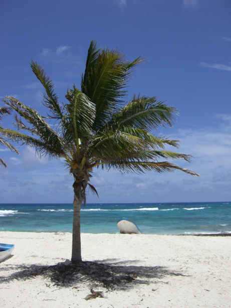 Cozumel is beautiful and unspoiled.